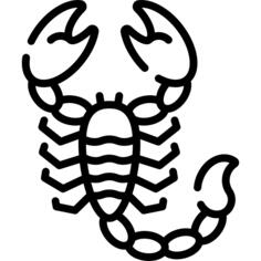 Scorpion