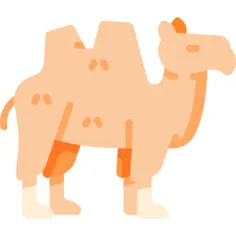 Camel