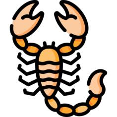 Scorpion