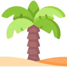Palm tree