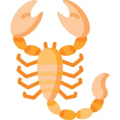 蝎