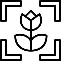 焦点