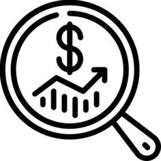 Business analyst