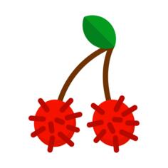 Rambutan
