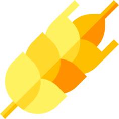 Wheat