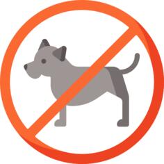 No pets