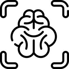 Brain