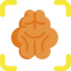 Brain