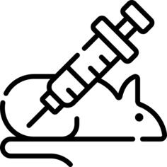 Rat