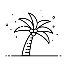 Coconut tree