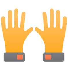Gloves