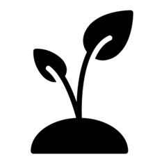 Growth