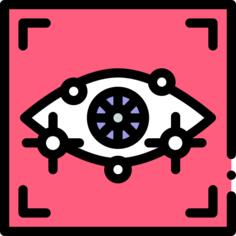Retina