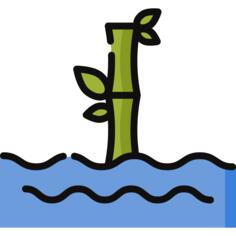 Bamboo