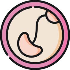 Pregnancy