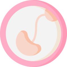 Pregnancy