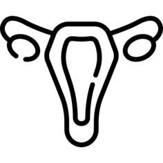 Uterus