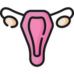 Uterus