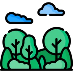 Park