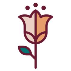 Tulip