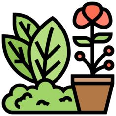 草本植物