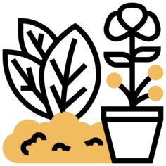 草本植物
