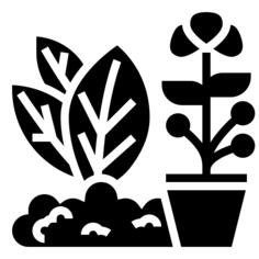 草本植物