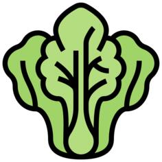 卷心菜