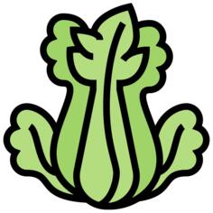 芹菜