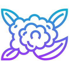 菜花