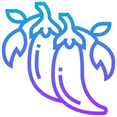 辣椒