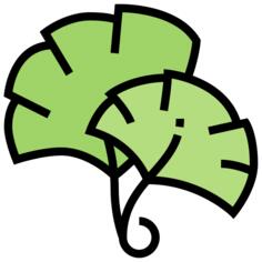 Ginkgo