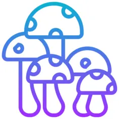蘑菇
