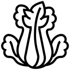 芹菜