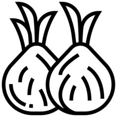 Onion