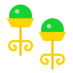 Earrings