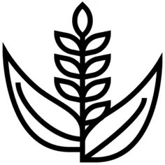 白饭