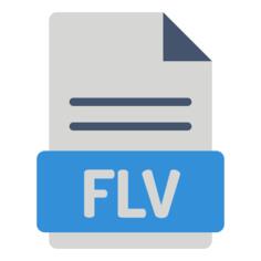 FLV文件
