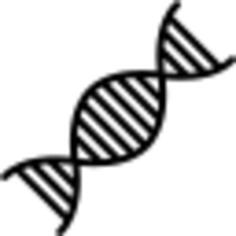 Dna structure