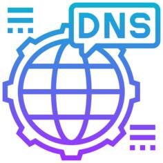 Dns