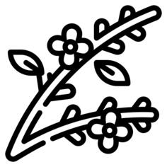 Branch