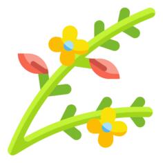 Branch