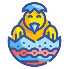 小鸡