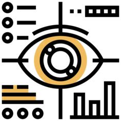 眼部扫描