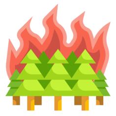 Forest fire