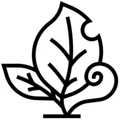 Leaf