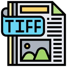 File type