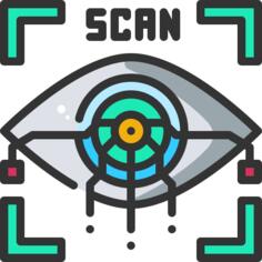Biometric recognition