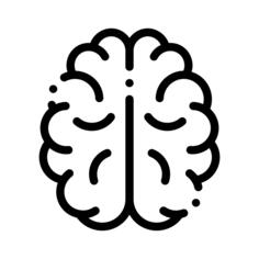 Brain