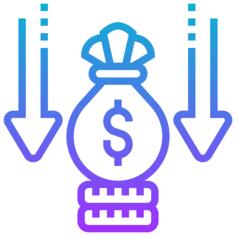 Income